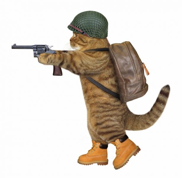 hình mèo ff ráng súng đeo balo